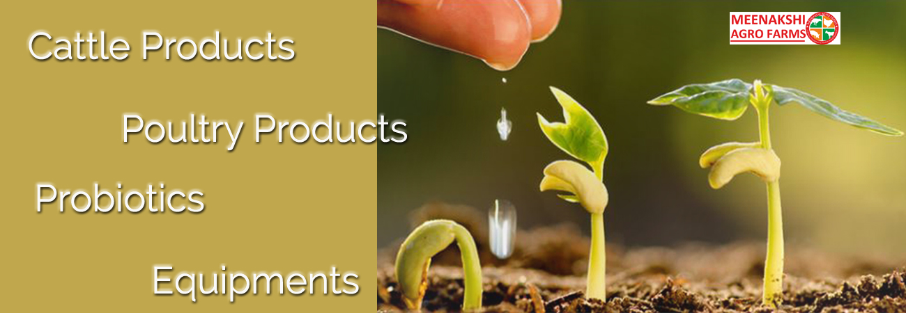 Meenakshi Agro Farms