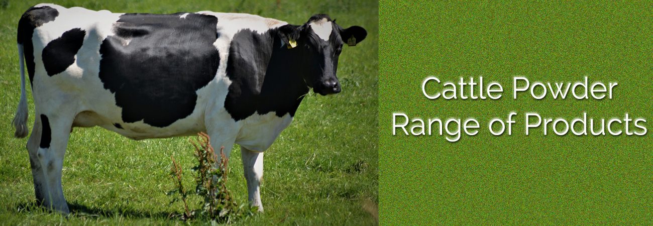 Cattle products Meenakshi agro farms